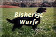 Bisherige
Wrfe