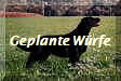 Geplante Wrfe