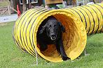 LostyAgility20140402Tunnel2klein