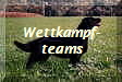 Wettkampf-
teams