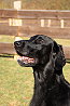 Mabel20240127cklein