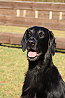 Mabel20240127dklein