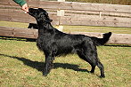 Mabel20240127fklein