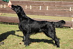 Mabel20240127gklein