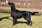 Mabel20240127hklein