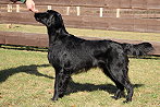 Mabel20240127iklein