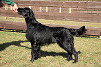 Mabel20240127jklein