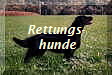 Rettungs-
hunde