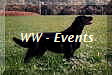 WW - Events