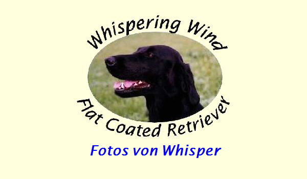 Fotos von Whisper