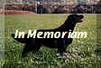 In Memoriam