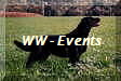 WW - Events