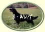 ButtonOvalBWurf2 ButtonOvalBWurf2