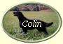 ButtonOvalColin2 ButtonOvalColin2
