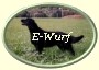 ButtonOvalEWurf2 ButtonOvalEWurf2