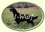 ButtonOvalIWurf2 ButtonOvalIWurf2