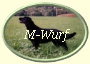 ButtonOvalM-Wurf2 ButtonOvalM-Wurf2