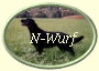 ButtonOvalN-Wurf2 ButtonOvalN-Wurf2