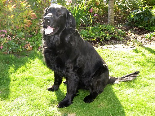 EEdgar11Jahre1 EEdgar11Jahre1