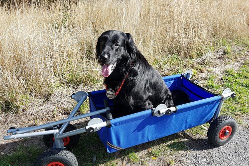 EEdgar11Jahre3 EEdgar11Jahre3