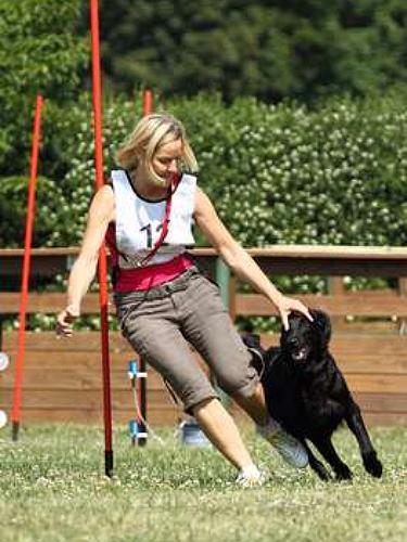 EFayeTurnierhundesport2 EFayeTurnierhundesport2