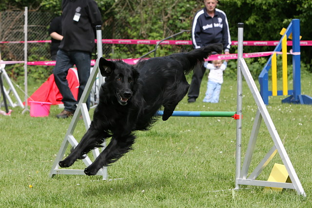 Fancy0509Huerde1