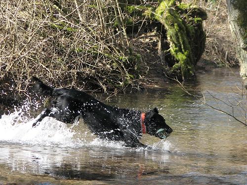 FreddyTraining032012Connor1