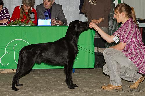 GEmbryClubschau2012