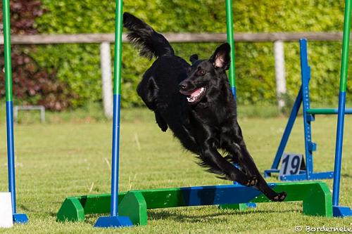 IInfinity201507Agility1 IInfinity201507Agility1