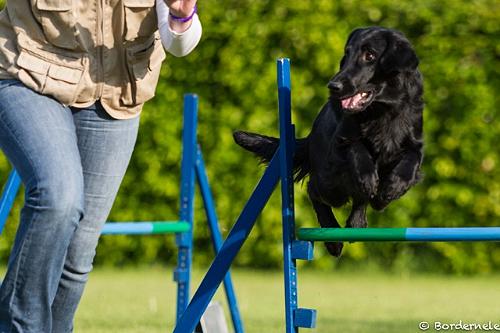 IInfinity201507Agility2 IInfinity201507Agility2