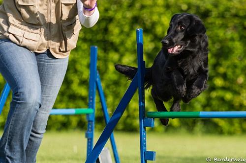 IInfinity201507Agility2