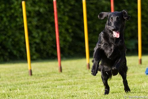 IInfinity201507Agility3 IInfinity201507Agility3