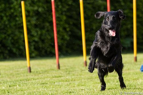 IInfinity201507Agility3