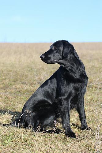 ITreffen20160204Ronja3 ITreffen20160204Ronja3