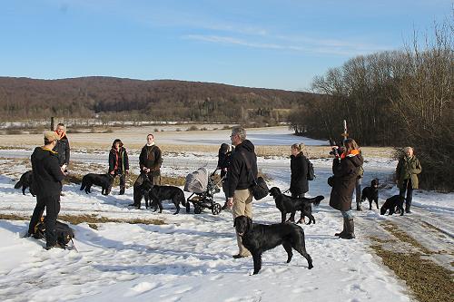IWelpentreffen20170204b IWelpentreffen20170204b