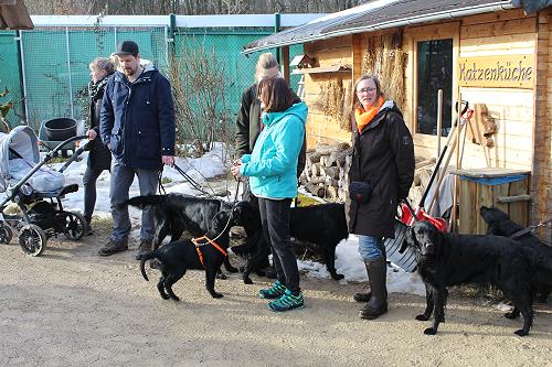 IWelpentreffen20170204c IWelpentreffen20170204c