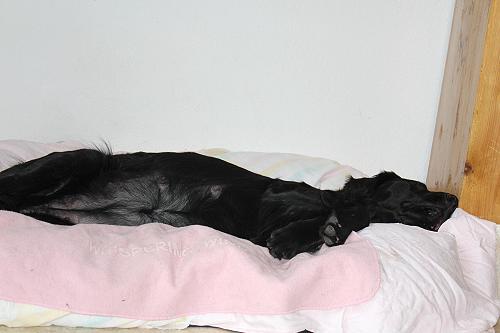 JPleasuretraechtig20151018cmittel JPleasuretraechtig20151018cmittel