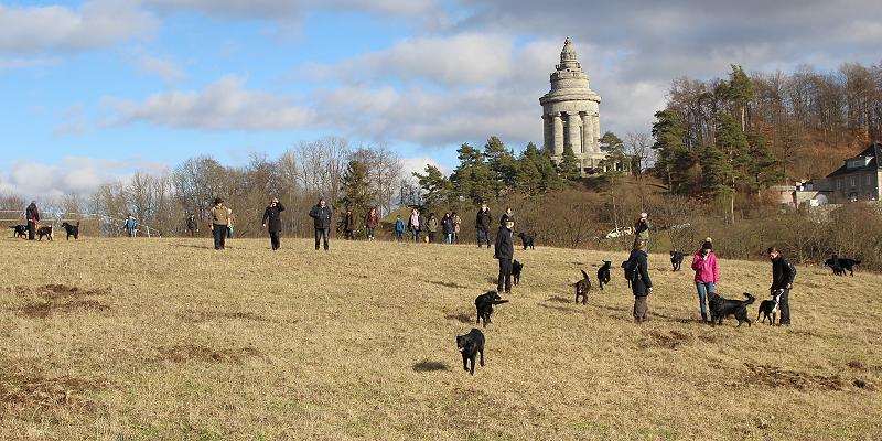 JWurfTreffen20170205-1 JWurfTreffen20170205-1