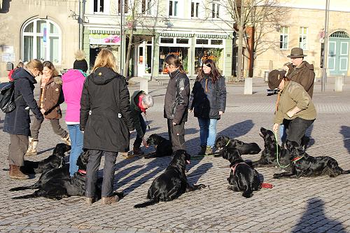 JWurfTreffen20170205-8 JWurfTreffen20170205-8