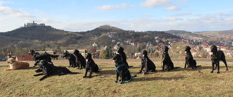 JWurfTreffen20170205-9 JWurfTreffen20170205-9