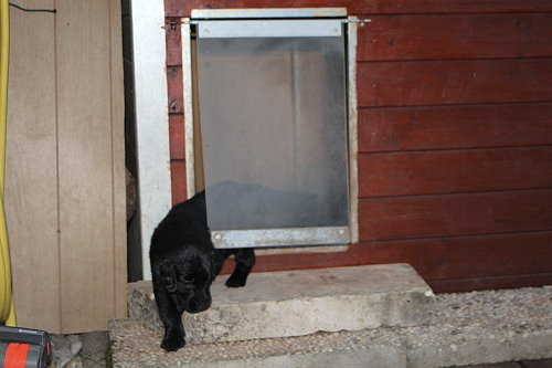 MHundehütte10 MHundehütte10