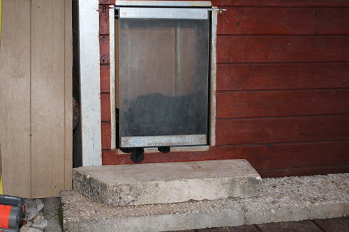 MHundehütte4 MHundehütte4