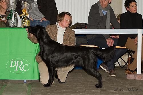 PleasureClubschau2012
