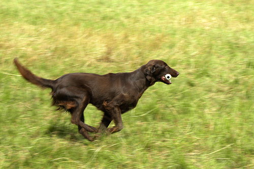 WWDummySeminar20200712Lilly1 WWDummySeminar20200712Lilly1