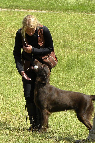 WWDummySeminar20200712Lilly2 WWDummySeminar20200712Lilly2