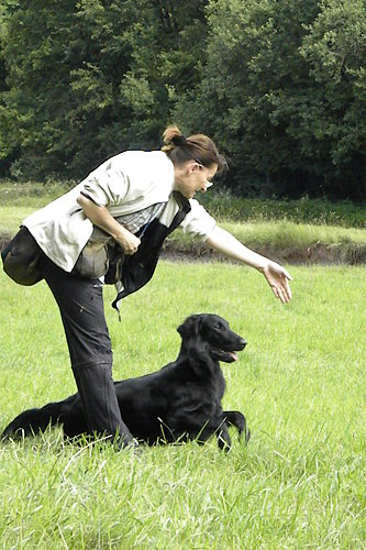 WWDummySeminar20200712Mabel1 WWDummySeminar20200712Mabel1