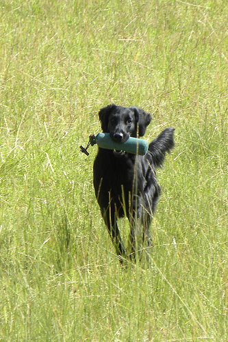WWDummySeminar20200712Mabel2 WWDummySeminar20200712Mabel2