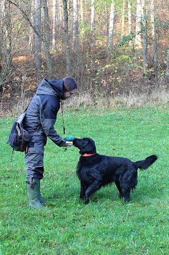 WWFreddyTraining20141123Neil1