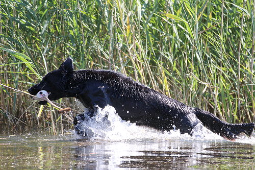 WWWasserseminar201807Ronja1 WWWasserseminar201807Ronja1