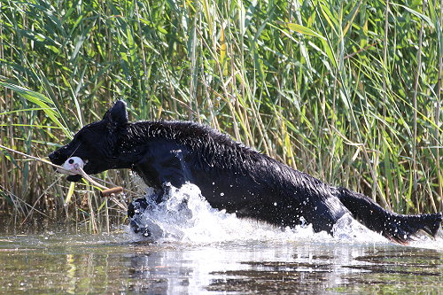 WWWasserseminar201807Ronja1